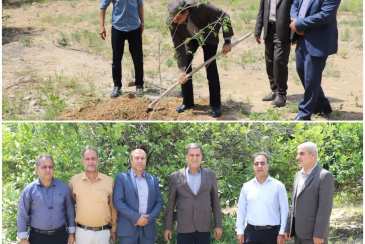  کاشت درخت به مناسبت گرامیداشت شهدای جنگ رمضان در شرکت آب و فاضلاب استان بوشهر