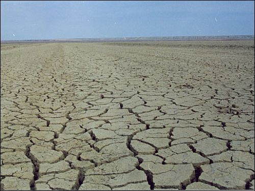 با بروز پدیده خشکسالی در شبانه روز منابع آبی استان بوشهر 70 هزار متر مکعب کاهش یافته است